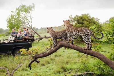 Yala National Park